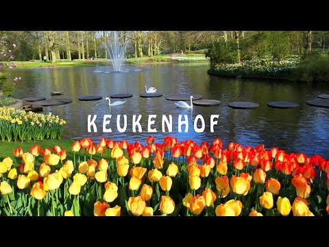 Schöne Landschaften in Europa...  Keukenhof ist der Garten Europas. Full HD