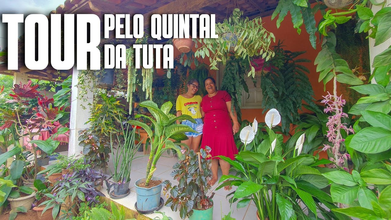 TOUR PELO QUINTAL DA TUTA: UMA VARANDA LOTADS DE PLANTAS LINDAS E ORNAMENTAIS | SAMAMBAIAS