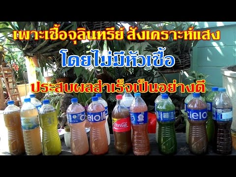 การรักษาโรคสะเก็ดเงินใหม่ โลชั่นโรคสะเก็ดเงิน 100 Fukan