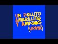 Un Pollito Amarillito Y Amigos