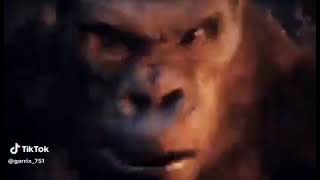 Cover art for Skibidi sigma pomni