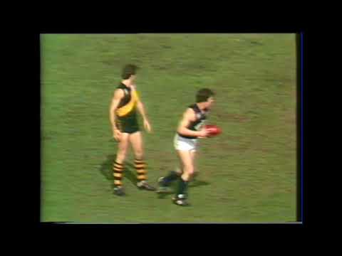 1982 Round 20 Carlton Highlights - Carlton vs Richmond