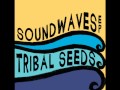Tribal Seeds - In Your Eyes