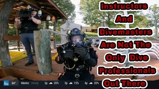What Is A Professional Diver