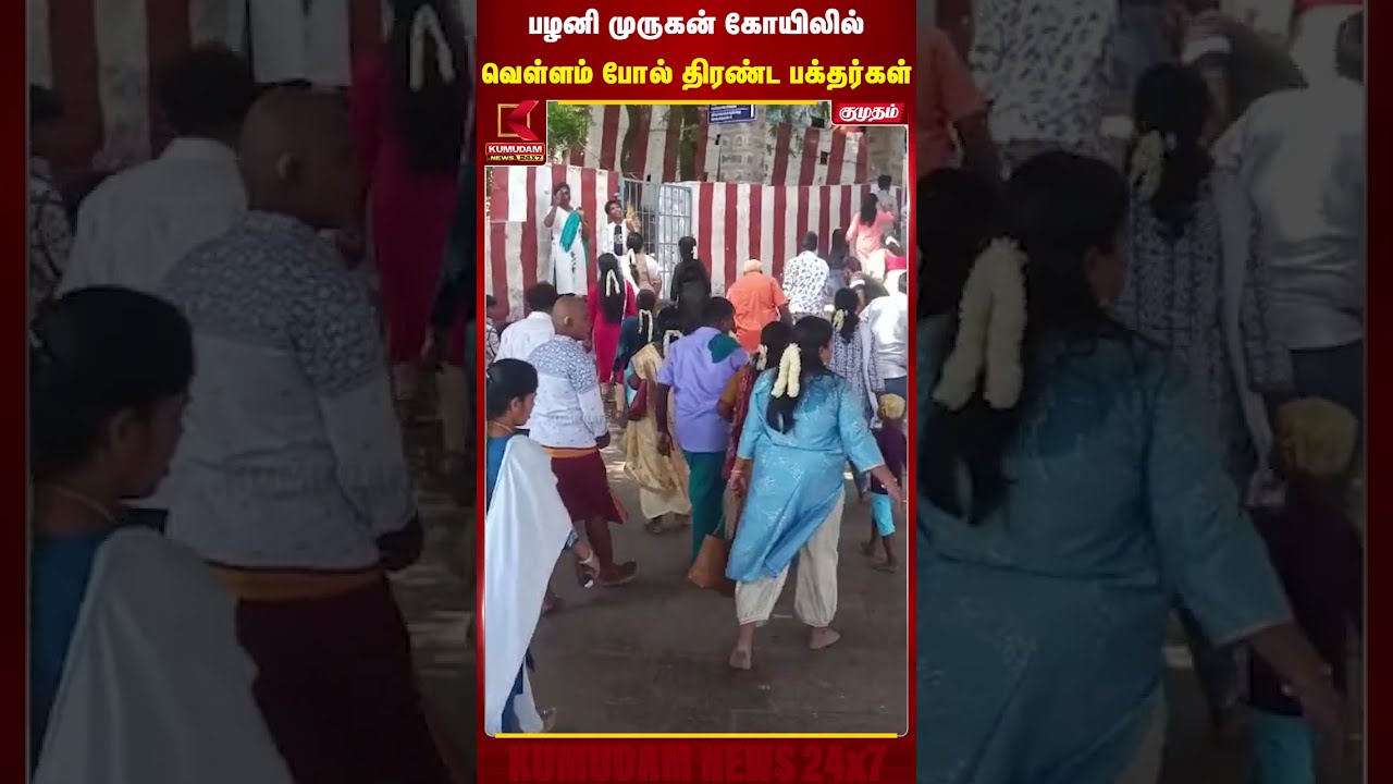 பழனி முருகன் கோயிலில் வெள்ளம் போல் திரண்ட பக்தர்கள் | Palani Murugan Temple | Kumudam News