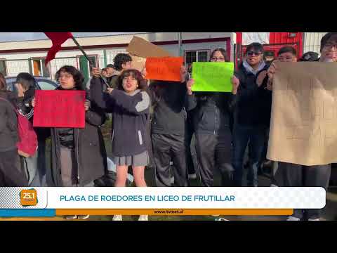#plagaderatones en LICEO IGNACIO CARRERA PINTO #frutillar #loslagos