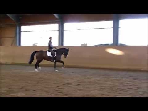 Diamond Liesa 2 2015