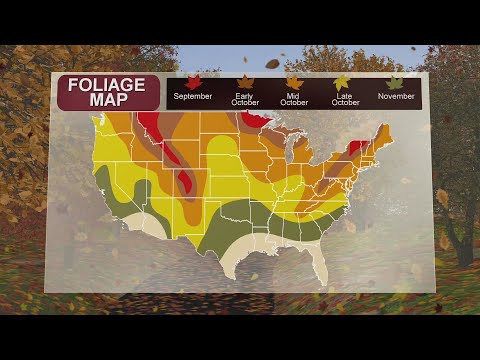 Peak of Missouri fall foliage color expected in late October