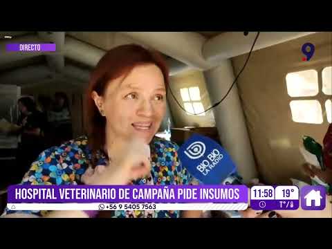 Instalan hospital de campaña para mascotas afectadas por incendios en Penco