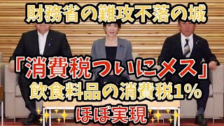 財務省の難攻不落の城「消費税ついにメス」飲食料品の消費税1%✨ほぼ実現✨#政治 #経済 #消費税 #消費税減税 