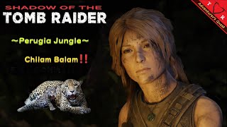 🏹 shadow of the TOMB RAIDER 🏹 ～ジャングル・キャットの襲来～