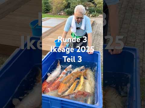 Wachstumsteich Teil 3