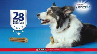 Purina Prueba la acción de limpieza natural anuncio