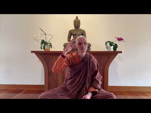 比丘阿那律 | 體悟心性 | 2020 年 4 月 (Bhikkhu Anālayo | An embodied mindfulness | April 2020)