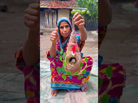 Amazing Handmade Baya Weaver Bird Nest Using Coconut Fiber..! 🥥🪺 #foryou#viralvideo