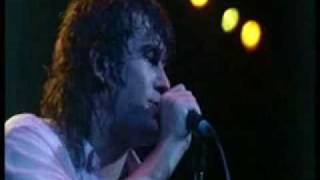 Cold Chisel 'Last Stand' -  Flame Trees.