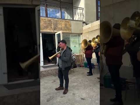 Fanfara lui Raducu Melinte hora rara