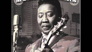 Muddy Waters - Catfish Blues