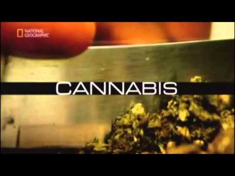 Cannabis ja pamiętam