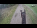 Zo zie je de paardensport niet vaak: De Cross van Vasse door de ogen van de ruiter