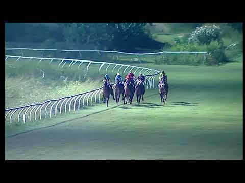 Napoli Galoppo 14/08/2021 - 5ª corsa