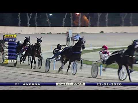 Aversa trotto 22 Gennaio 2020 - 7° Corsa