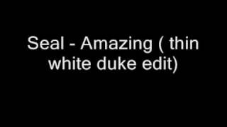 Seal - Amazing (thin white duke edit)