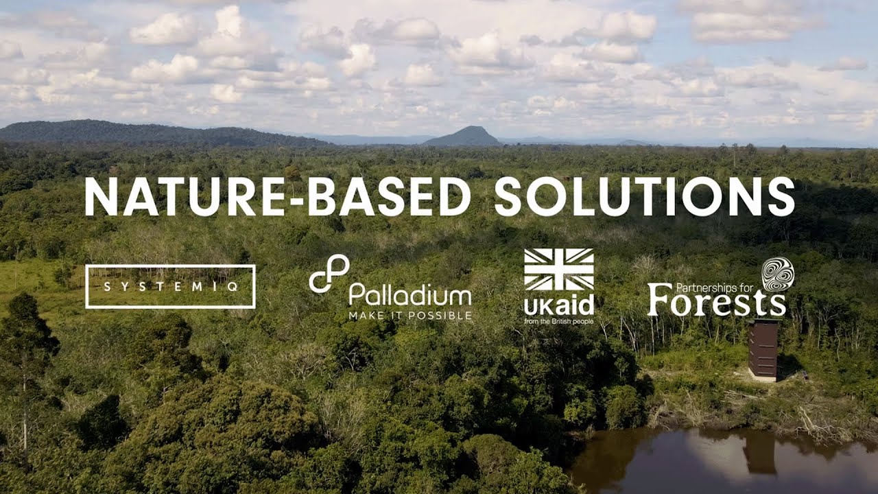 SYSTEMIQ: Nature-Based Solutions (Indonesia)