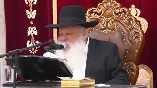 איך עוברים את העולם הזה בשלום | הרב דניאל זר (הרב דניאל זר) - התמונה מוצגת ישירות מתוך אתר האינטרנט יוטיוב. זכויות היוצרים בתמונה שייכות ליוצרה. קישור קרדיט למקור התוכן נמצא בתוך דף הסרטון