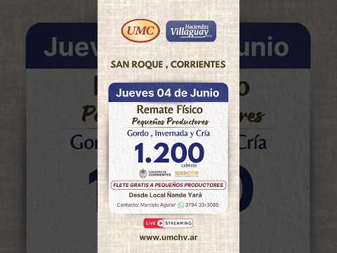 REMATE DE HACIENDAS GENERALES, 1700 CABEZAS. SAN ROQUE CORRIENTES