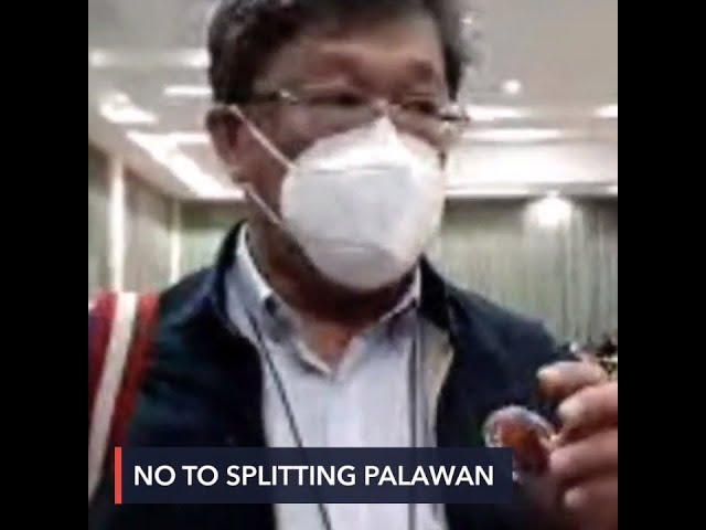 ‘No’ votes win in Palawan plebiscite