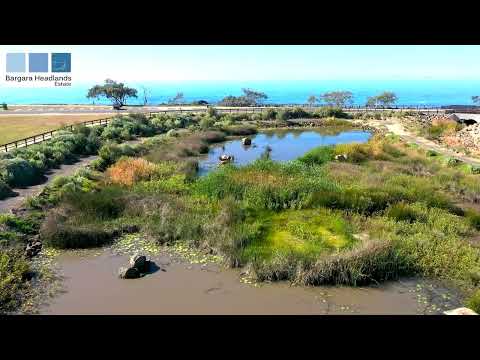 Headlands Green Wetlands