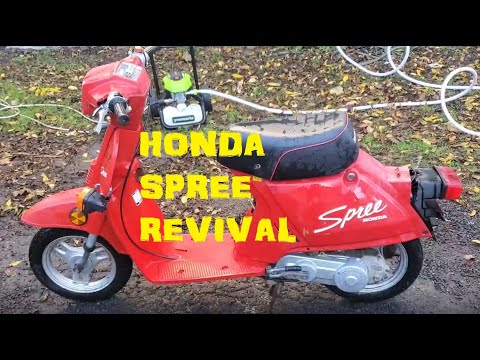 Thumbnail for Barn Find Honda Spree NQ50 - Will It Run? 30 Years of sitting! First Start! by WiLL
