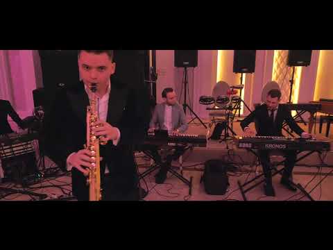 Mierea Romaniei Dan Bursuc - Instrumental