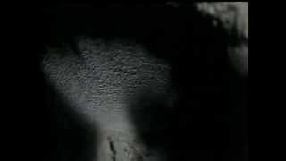 GRABACIÓN SHUNT 01; CAMINO VIEJO DE PINTO, 19