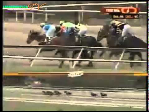 LA RINCONADA 6 CARRERA DOMINGO 08 DE JUNIO DEL 2014