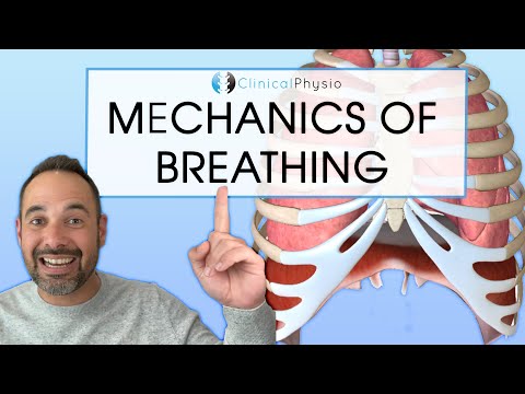 Breathing Mechanics Made Easy | Expert Physio Guide