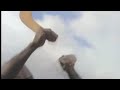aborigine hunt huge bats with boomerang
