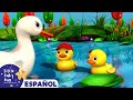 Canciones Infantiles Cinco Patitos Little Baby Bum En Español