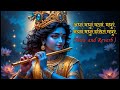 Adharam Madhuram Lofi Krishna Bhajan Bhakti Song Bhajan Madhurashtakam Jai Shri Krishna