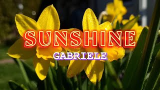Sunshine (Lyrics) - Gabrielle