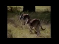 Really Wild Animals 1997 Promo