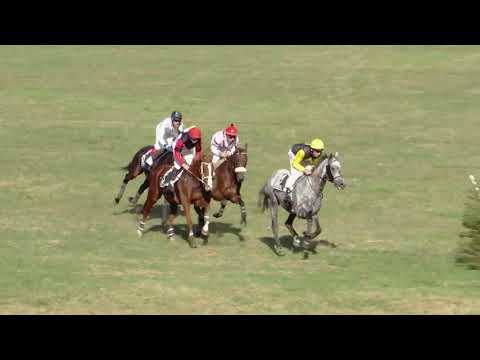 Maienfeld/07.10.2018/Rennpreis der Sudostschweiz Medienfamilie