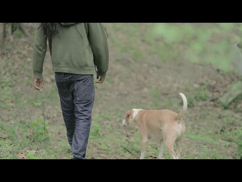 billy woods "Groundhogs Day" - OFFICIAL MUSIC VIDEO