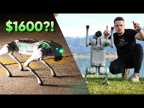 An Affordable Robot Dog?! | Unitree Go2 Air Review