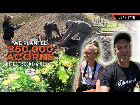 We Planted 17 Acres of Oak Trees - Direct Seeding Acorns | Dream Farm w/ Bill Winke