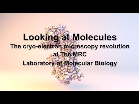 Looking at Molecules: The electron cryo-microscopy revolution at the MRC LMB