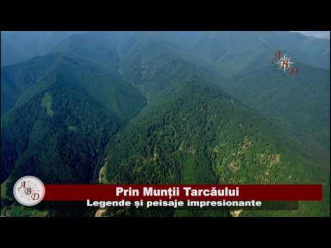 Munții Tarcău : legende și peisaje impresionante