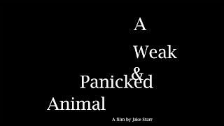 A Weak & Panicked Animal (2024) Trailer