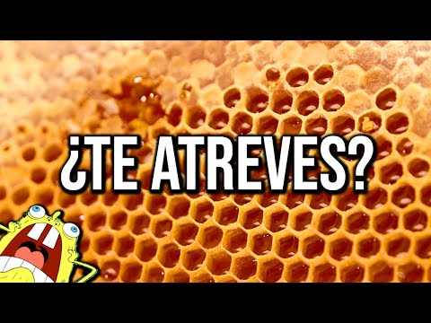 THESE VIDEOS WILL REVEAL YOUR WORST PHOBIAS AND FEARS!